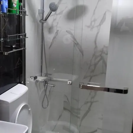 Apartment Markovic Silver Veliko Gradiste