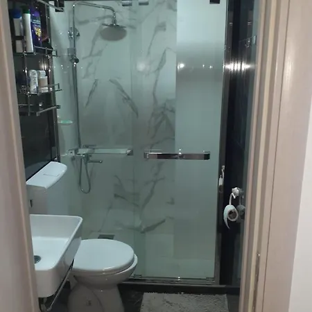 Apartment Markovic Silver
