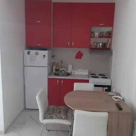 Markovic Silver Apartment *
